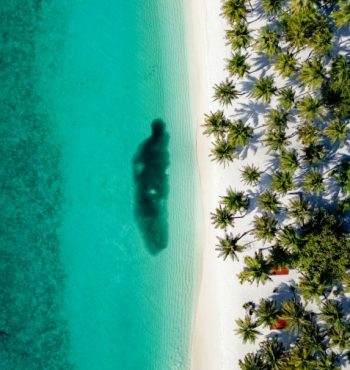 ali-maah-4OWjVMXFXWQ-unsplash (1) ali-maah-4OWjVMXFXWQ-unsplash (1)