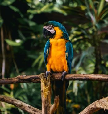 aliff-haikal-WOwDQa3iqQg-unsplash (1) aliff-haikal-WOwDQa3iqQg-unsplash (1)