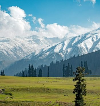 anubhav-sonker-YmfNszDqzPA-unsplash (1) (1) anubhav-sonker-YmfNszDqzPA-unsplash (1) (1)
