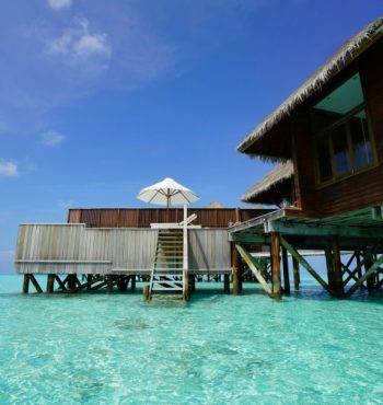 datingscout-5GQN5sI1H2M-unsplash (1) datingscout-5GQN5sI1H2M-unsplash (1)