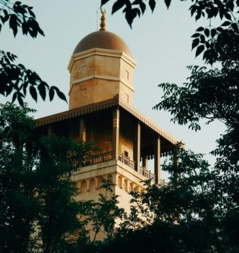 heba-alwahsh-iplKO8nWt2Y-unsplash (1) heba-alwahsh-iplKO8nWt2Y-unsplash (1)
