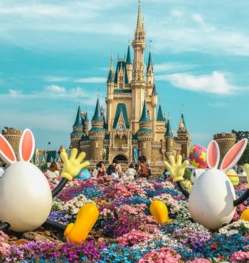 pexels-travel-with-aine-1792761-4140995 (1) pexels-travel-with-aine-1792761-4140995 (1)