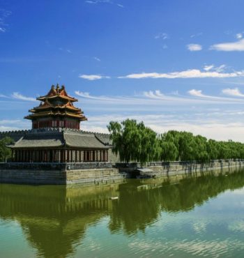 pexels-zhangkaiyv-189833 (1) pexels-zhangkaiyv-189833 (1)