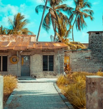 saffu-9oDNVmdsOHo-unsplash (1) saffu-9oDNVmdsOHo-unsplash (1)