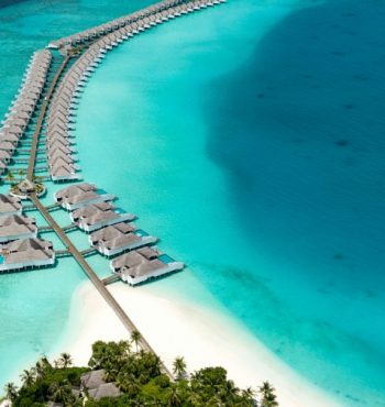 tholaal-mohamed-KSlyEelIx44-unsplash (1) tholaal-mohamed-KSlyEelIx44-unsplash (1)