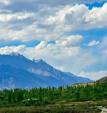 vivek-SP9tzlgNicc-unsplash (1) vivek-SP9tzlgNicc-unsplash (1)